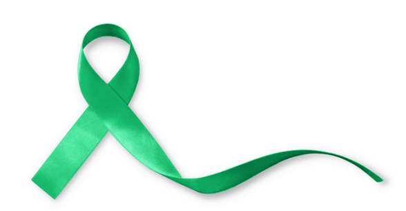 A green awareness ribbon on a white background.