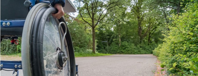 An image of a person pushing a wheelchair on a tree-lined path. Only the hand on the rim of the wheel is visible.