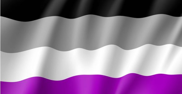 Asexual pride flag with a black, gray, white, and purple stripe.
