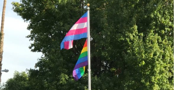 Trans pride flag and LGBTQ pride flag waving on a flagpole in front of trees