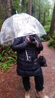 Allexa under a clear umbrella holding a camera in the green forest of the Olympic Peninsula.