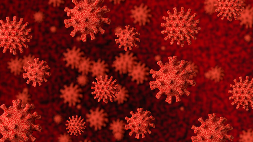 Illustration of coronavirus as it appears through microscope.