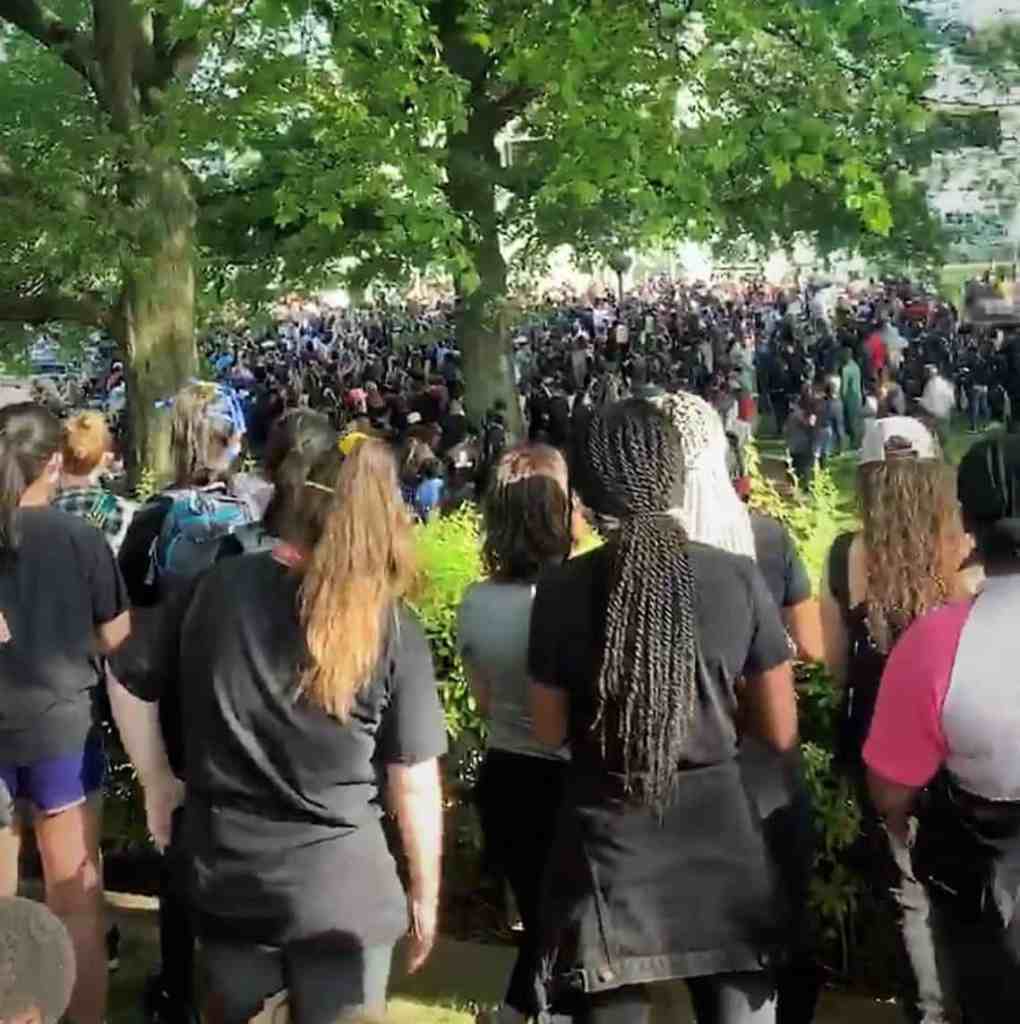 Photo of a crowd at a protest, under lush green trees.
