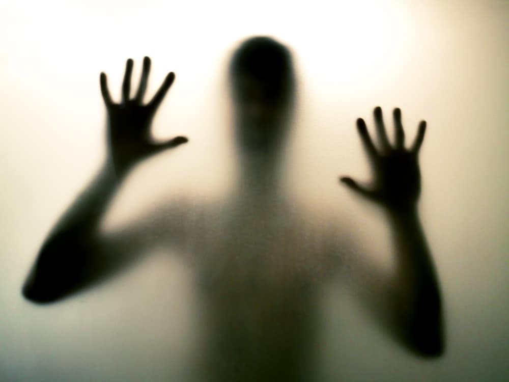 A sort of silhouetted, blurry, hands and body of a horror film-like human figure. They're behind matte glass. The photo is black and white.